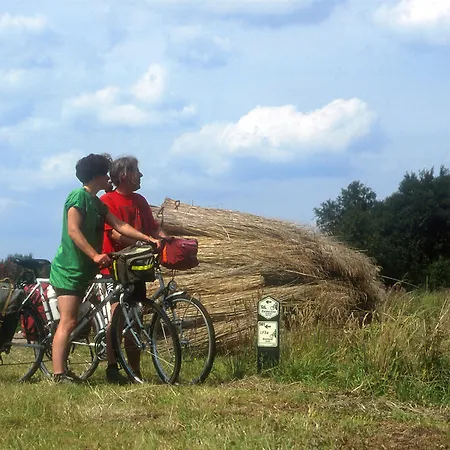 פארק נופש Parc De Witte Vennen *