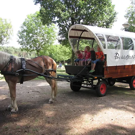 Aldeamento Turístico Parc De Witte Vennen