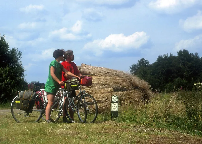 Parque de vacaciones Parc De Witte Vennen *
