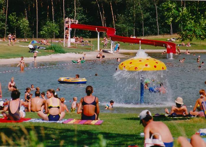 منتزه العطل Parc De Witte Vennen