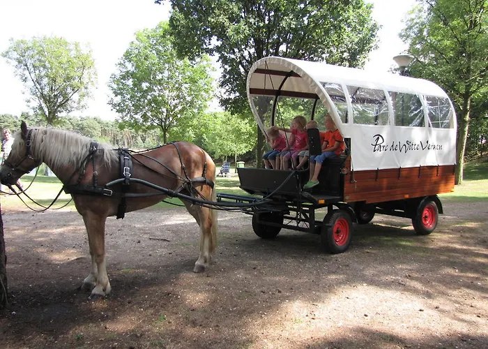منتزه العطل Parc De Witte Vennen